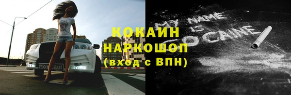 гашик Покровск