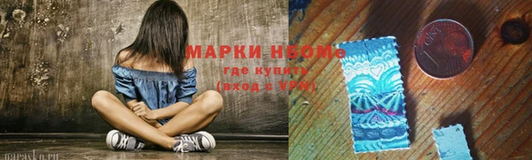 гашик Покровск