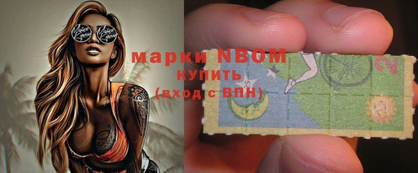 гашик Покровск